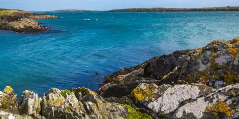 An image depicting the trail Fastnet Trails - Gubbeen Loop and its surrounding area.
