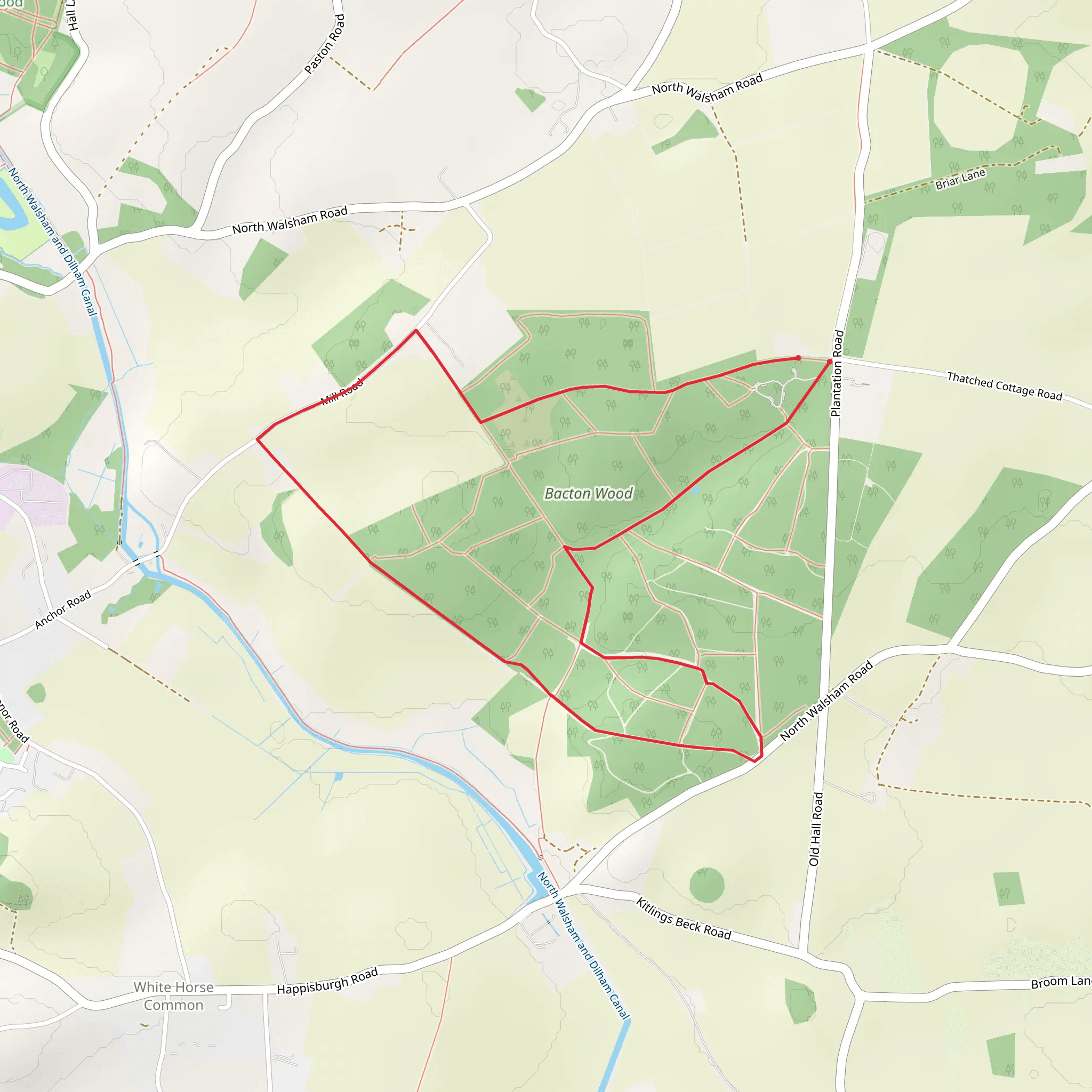 Bacton Woods Loop mobile static map