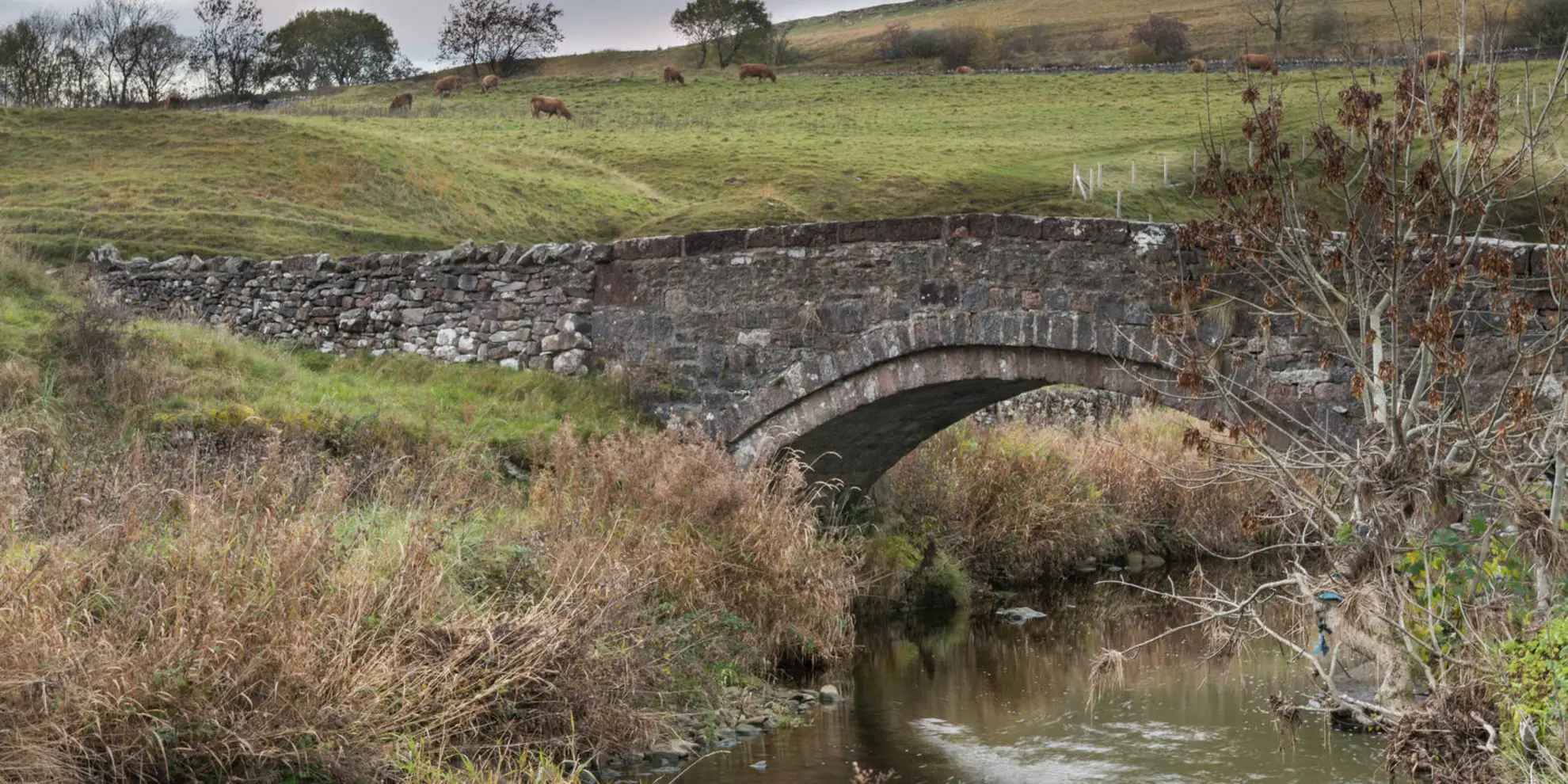 An image depicting the trail Smardale Gill Walk and its surrounding area.