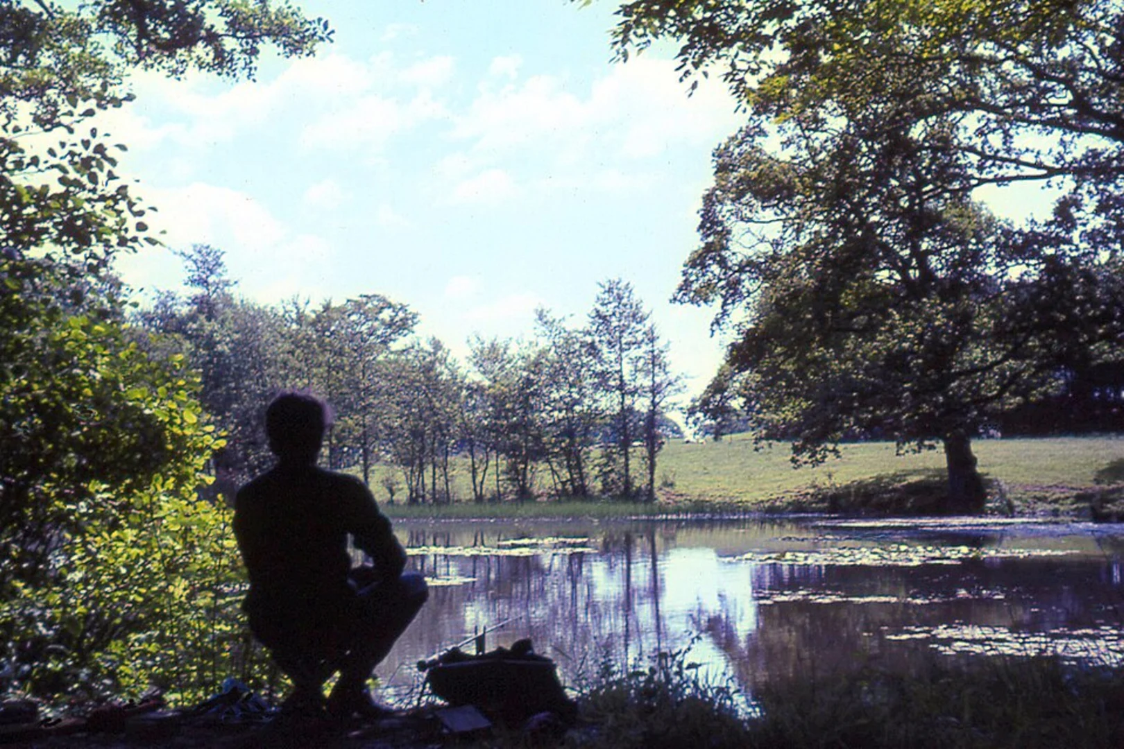 An image depicting the trail Downlands Wood and Isfield Country Park Loop and its surrounding area.