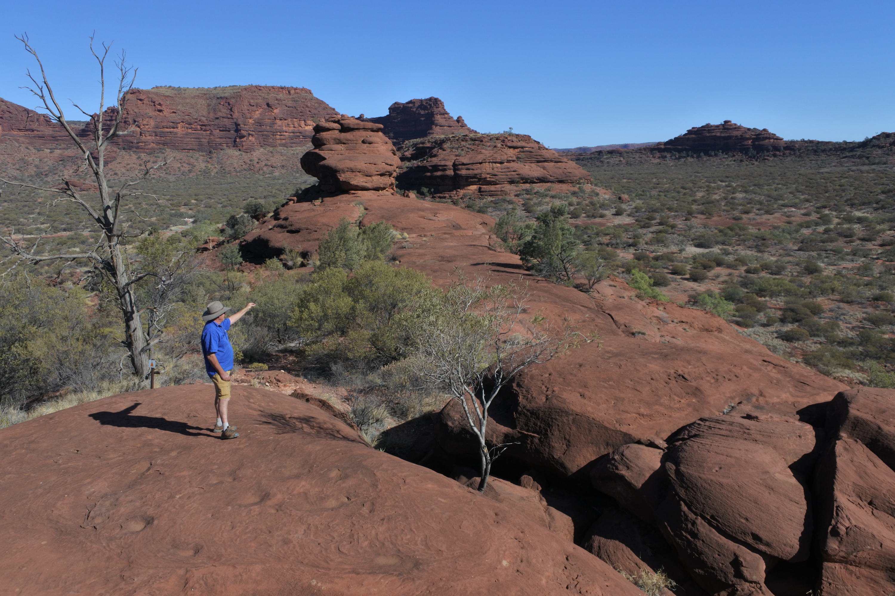 An image depicting the trail Finke Gorge National Park and its surrounding area.