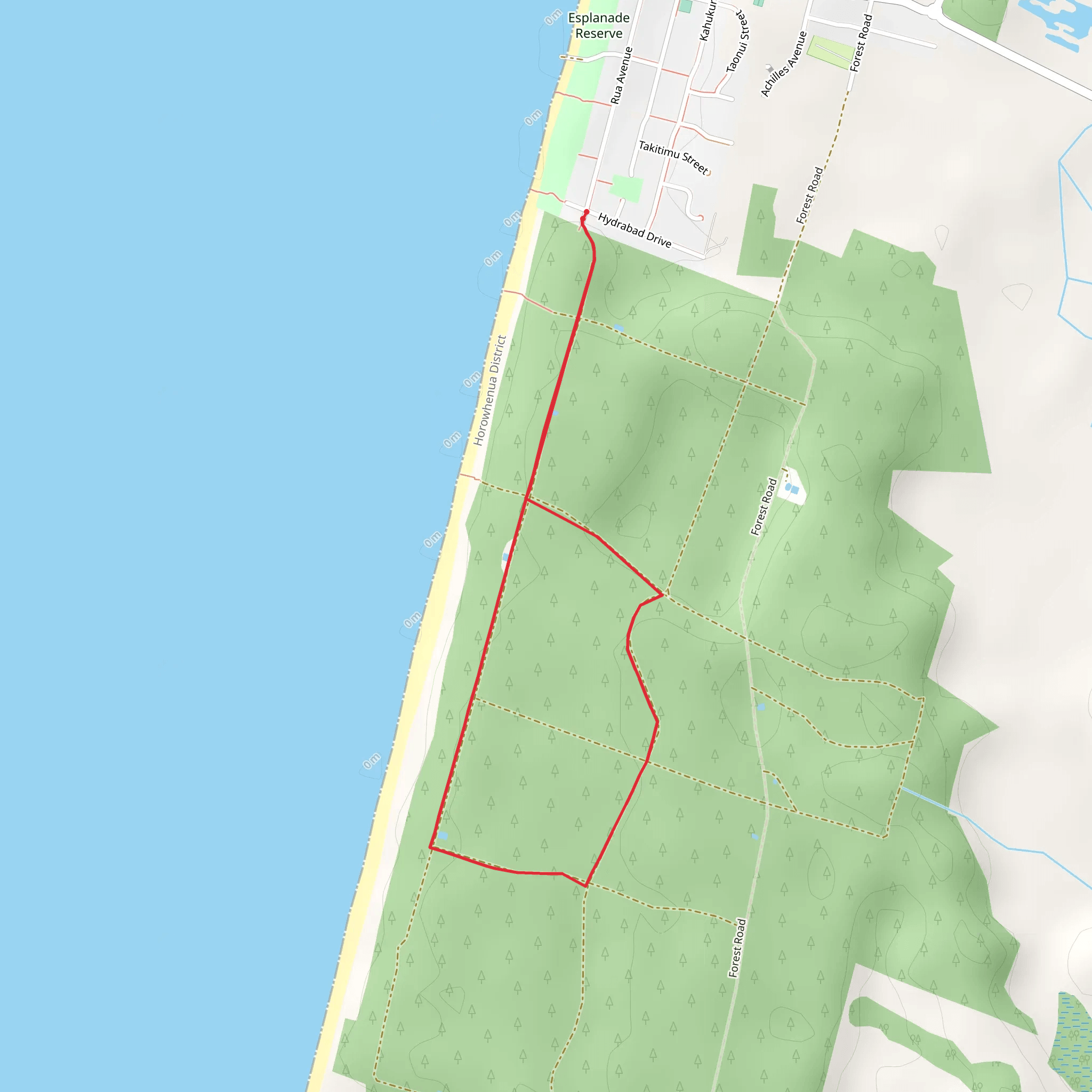Waitarere Forest Walk mobile static map