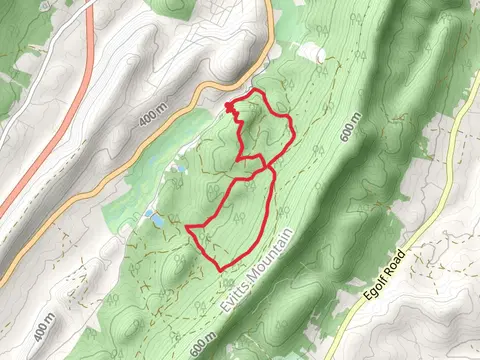Evitt Trail - Orange Triangle Loop