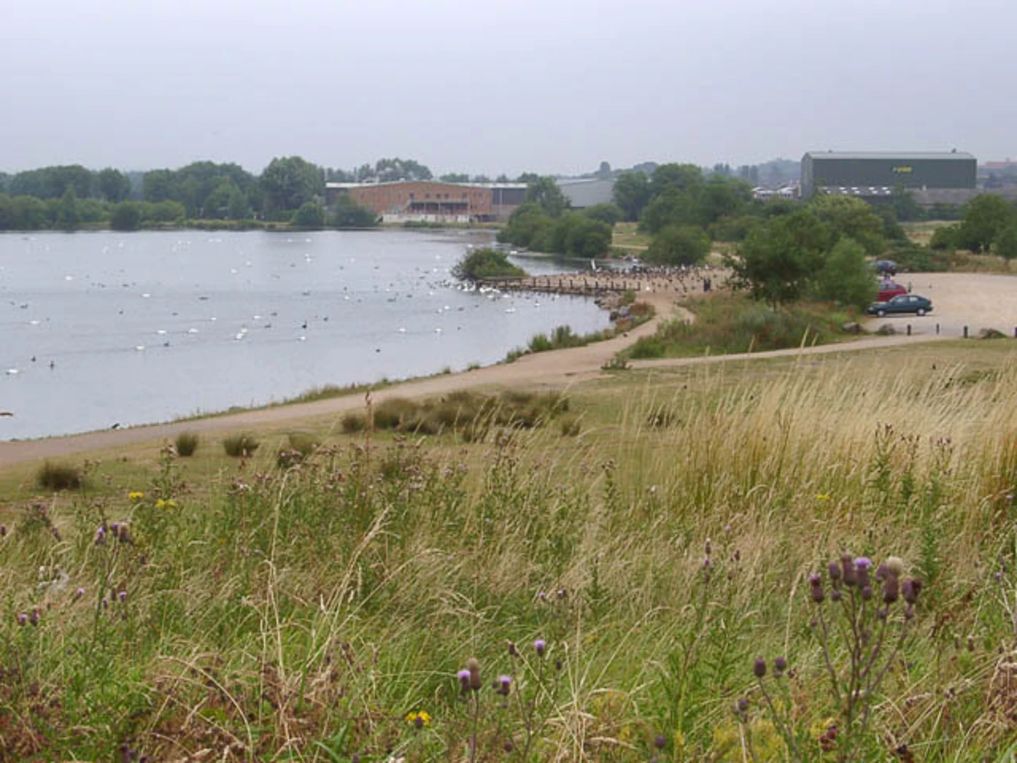 An image depicting the trail Watermead Country Park and Reedbed Nature Reserve Loop and its surrounding area.