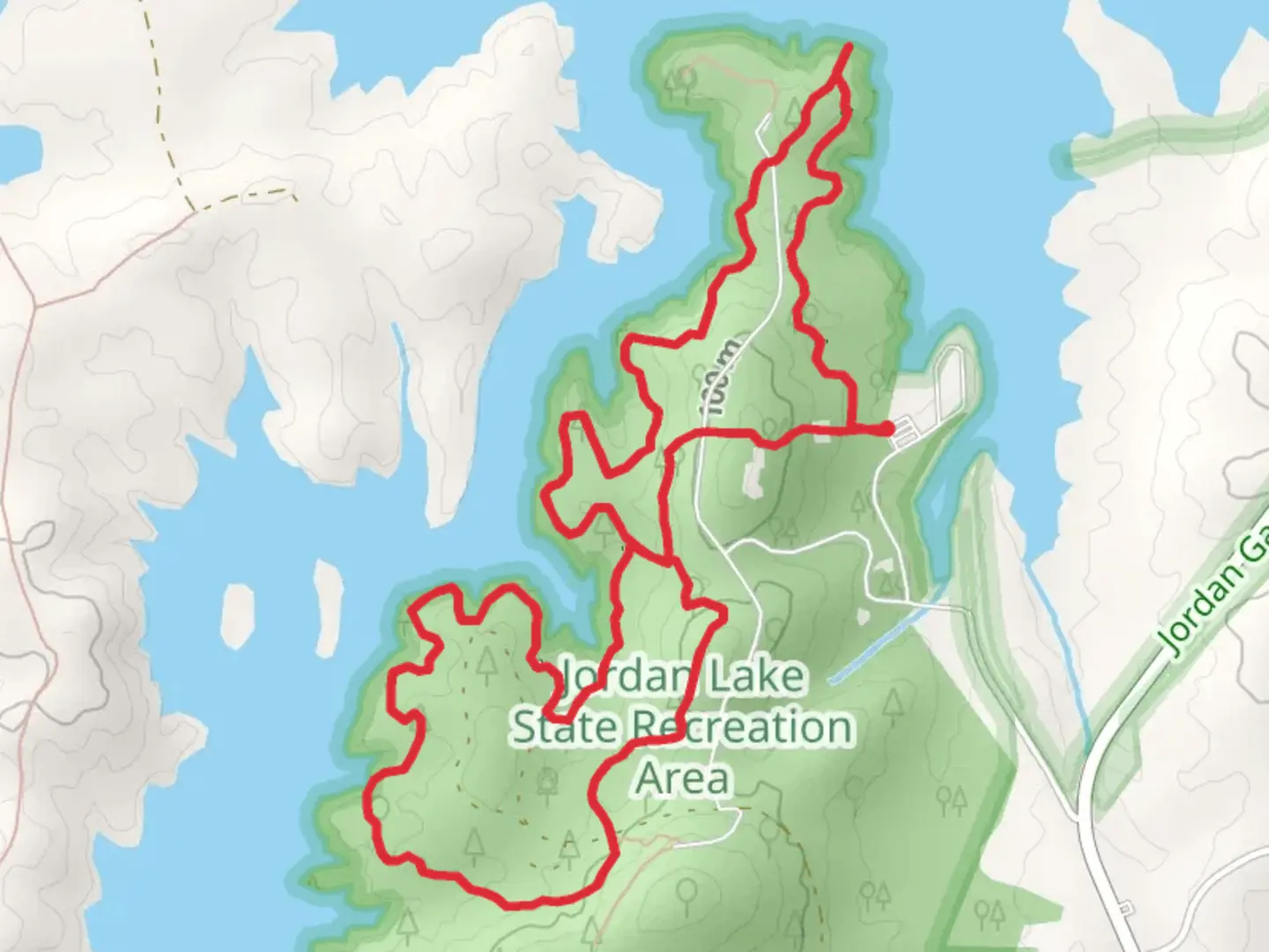 An image depicting the trail New Hope Creek Loop and its surrounding area.