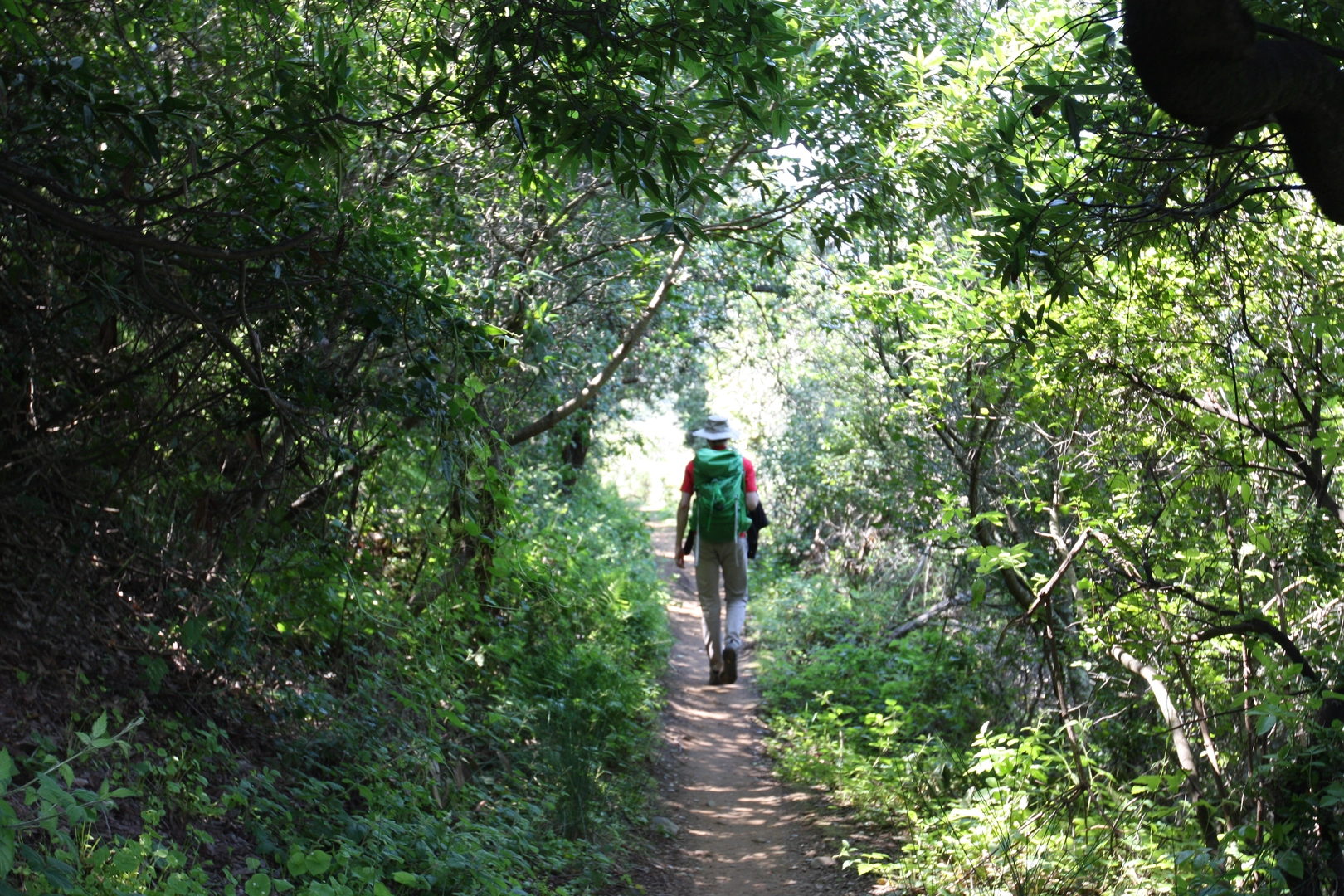 An image depicting the trail Lake Road, Water Dog Lake and John Brooks Loop Trail and its surrounding area.