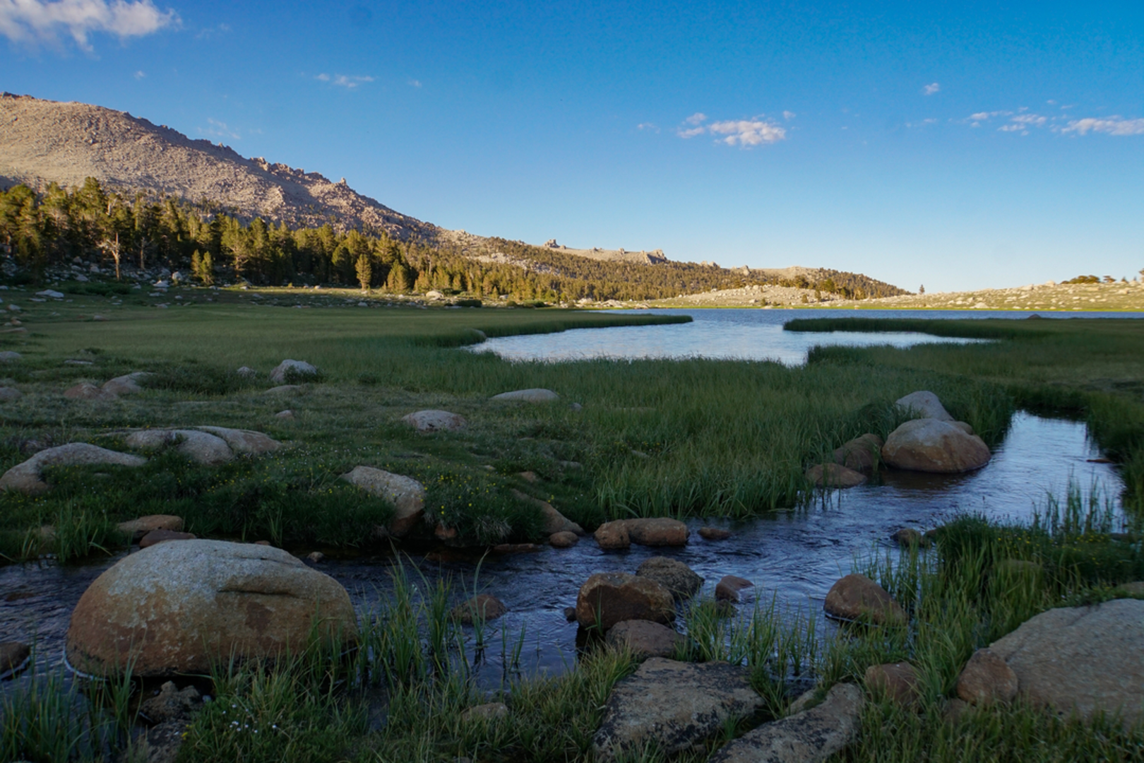 An image depicting the trail New Army Pass Trail via Little Cottonwood Creek Trail and its surrounding area.