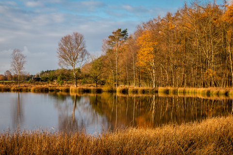 De Bosrand, Drogterhoeve, Falieberg and Klein Zwitserland Loop