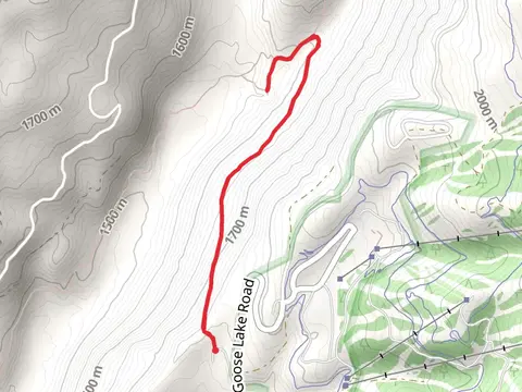 Goose Creek Falls Trail