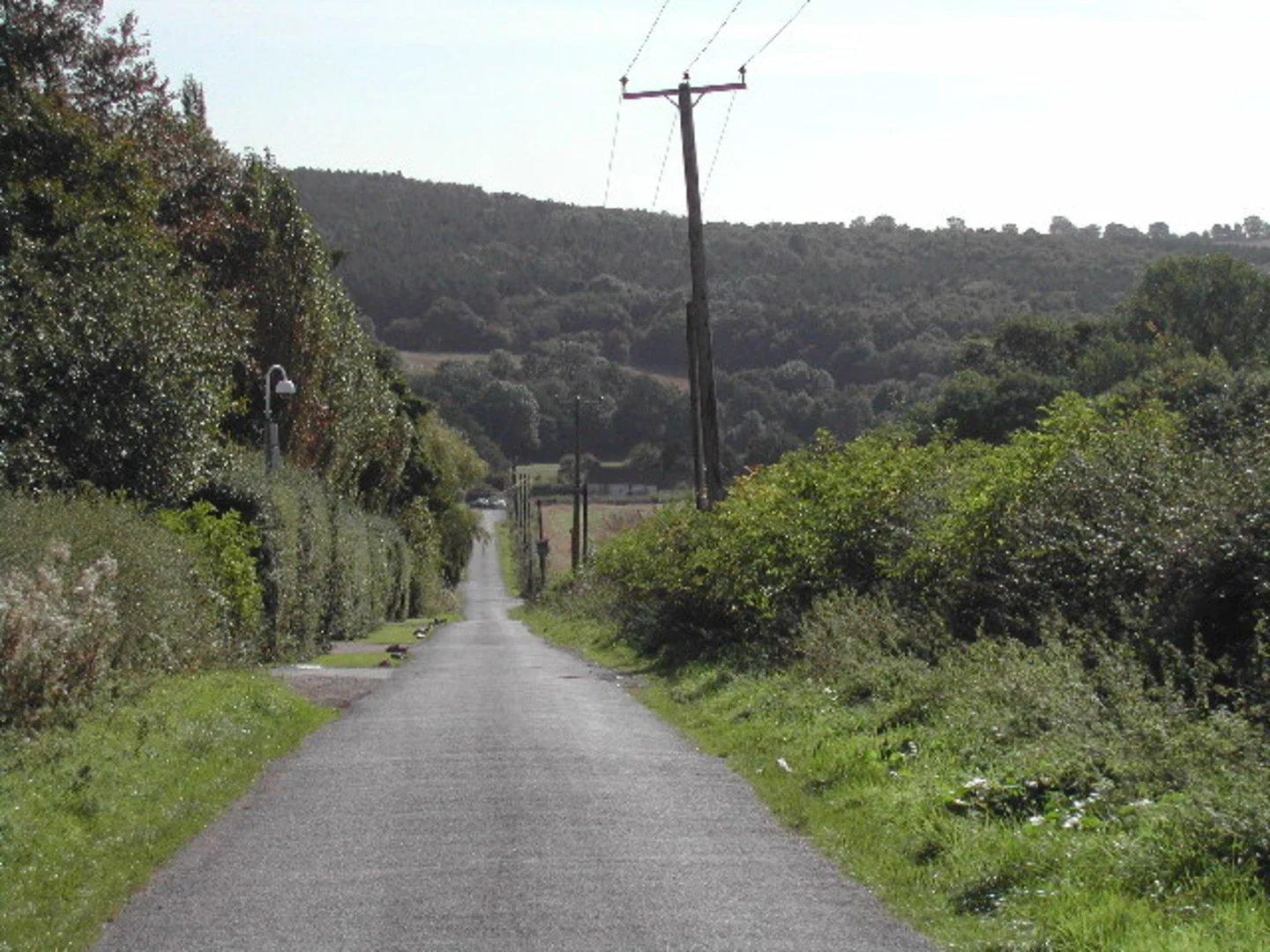 An image depicting the trail The Dumbles and Stainers Loop and its surrounding area.