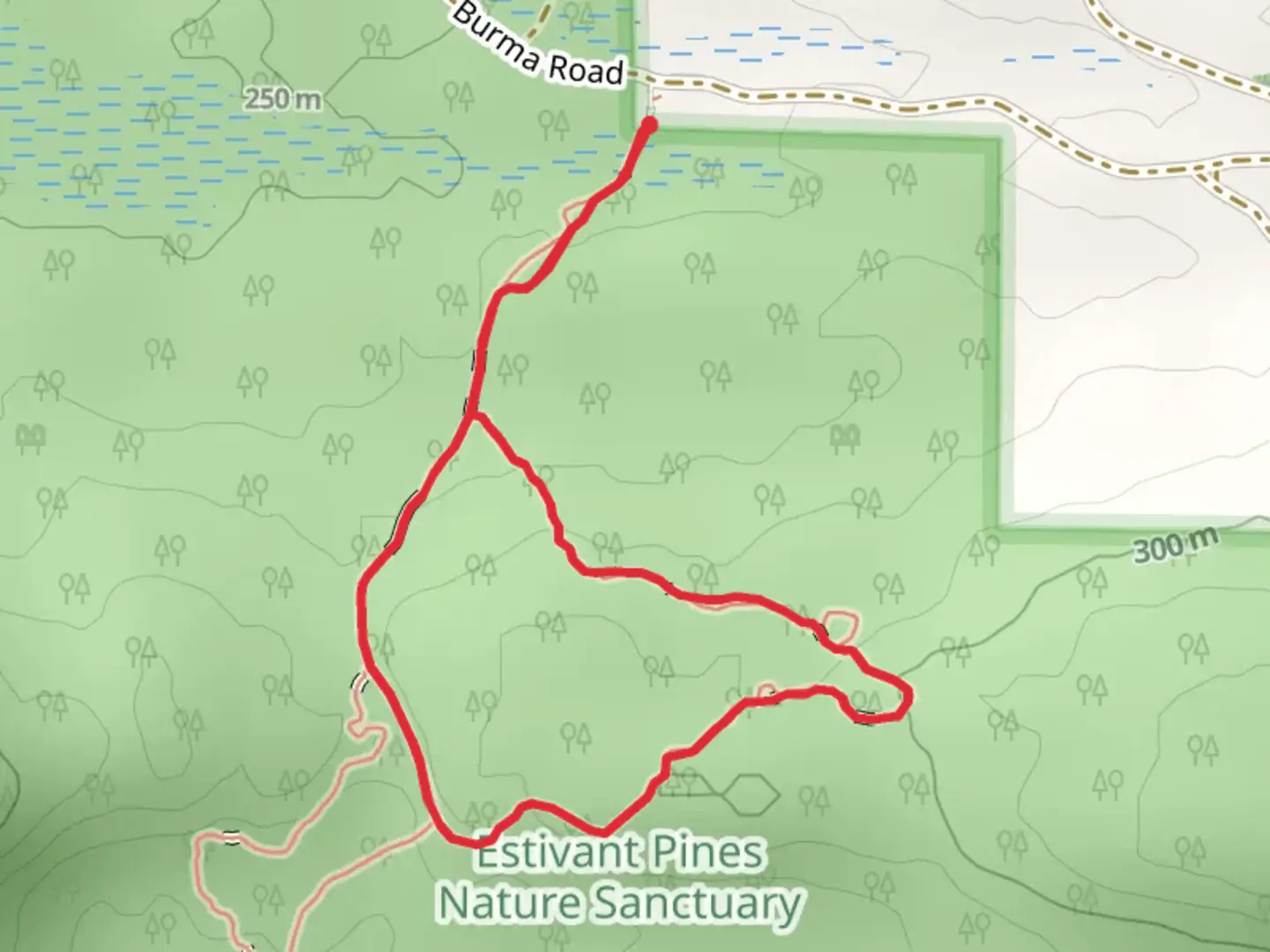 An image depicting the trail Bertha Daubendiek Memorial Grove Trail Loop and its surrounding area.