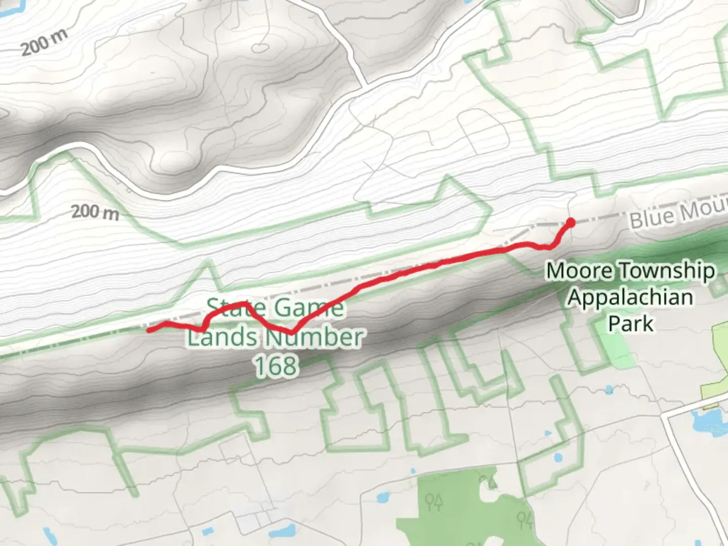 An image depicting the trail Forest Campsite Trail From Smith Gap and its surrounding area.