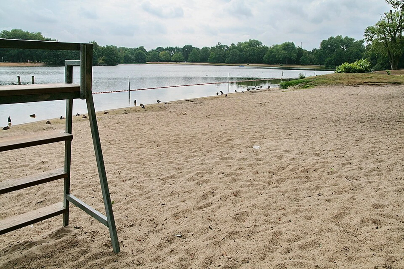 An image depicting the trail Silbersee Loop and its surrounding area.