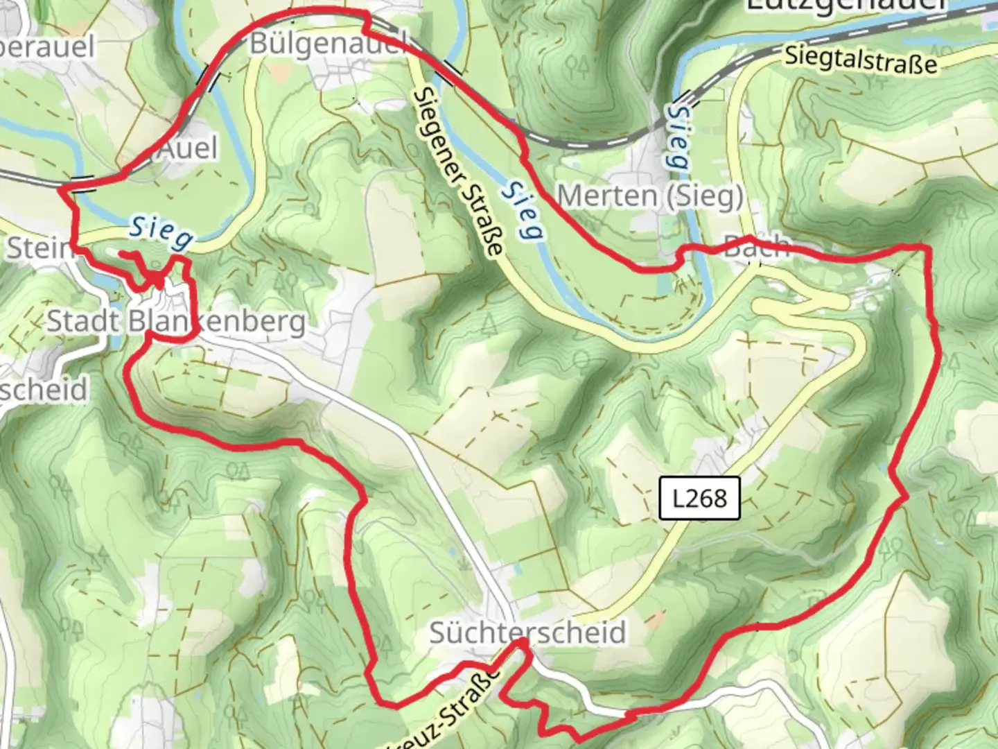 An image depicting the trail Suchterscheid and Burg Blankenberg Loop and its surrounding area.