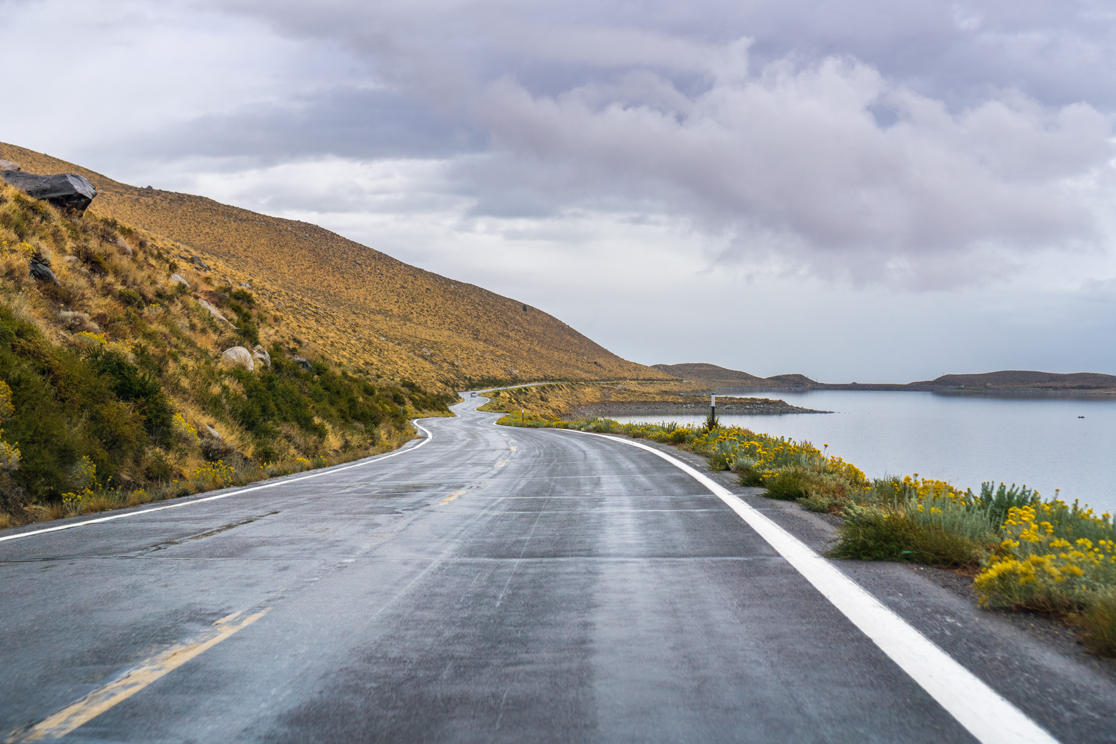 An image depicting the trail McCreery Lake and Bass Lake Loop Trail and its surrounding area.