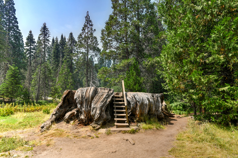 An image depicting the trail Big Stump Basin Loop Trail and its surrounding area.