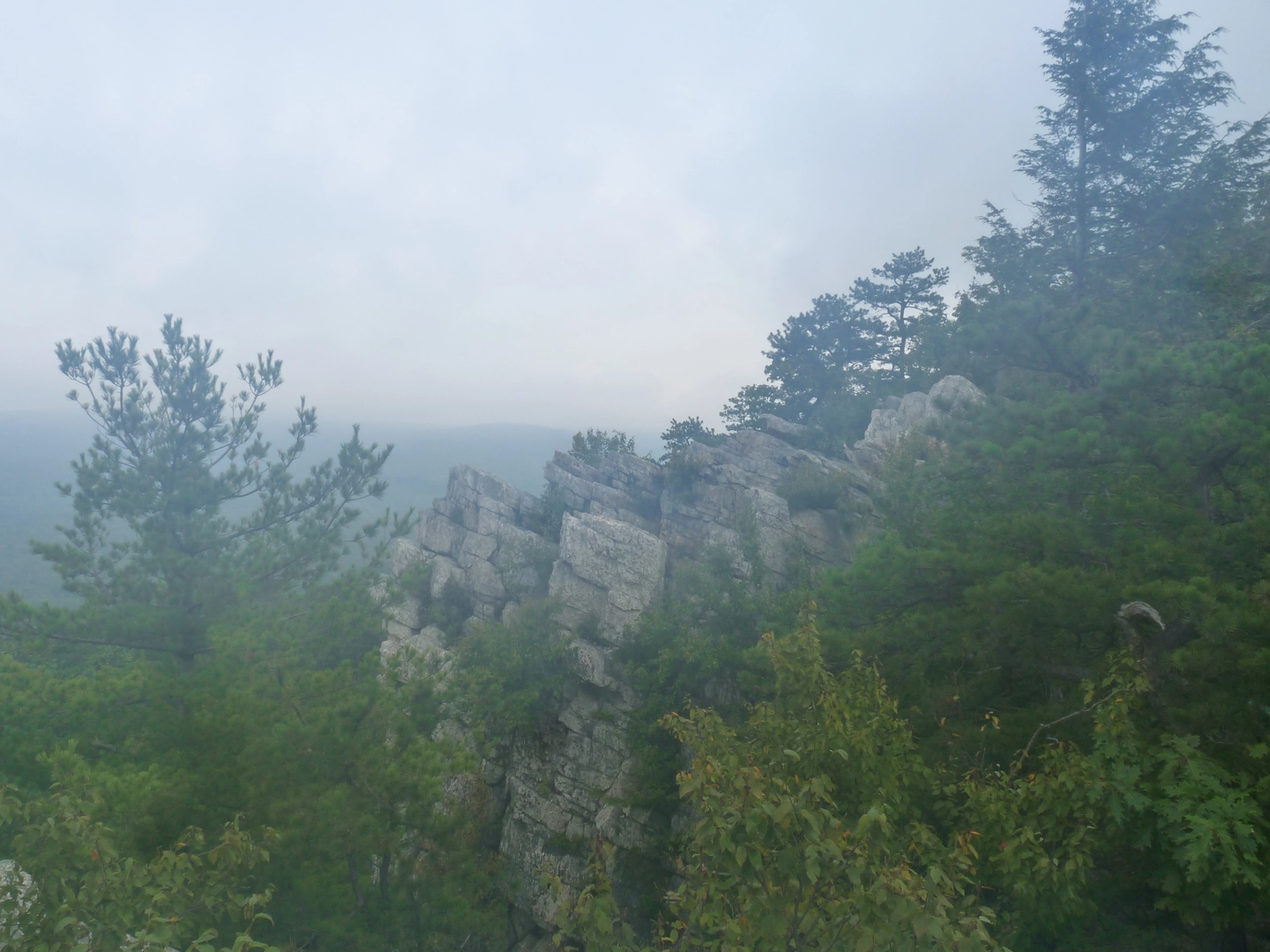 An image depicting the trail Pole Steeple Loop and its surrounding area.