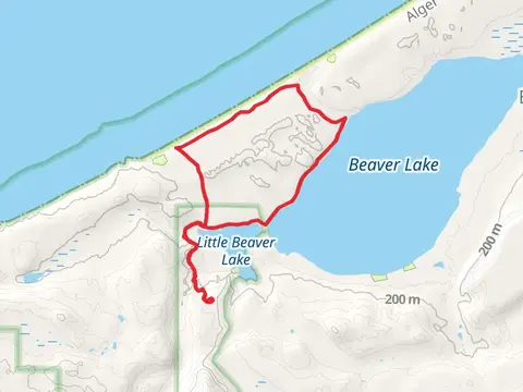 White Pine Trail and NCT Loop