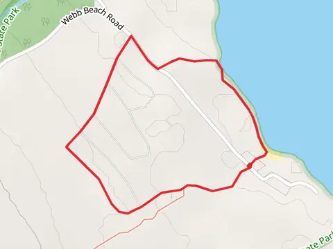 Webb Beach Road Loop
