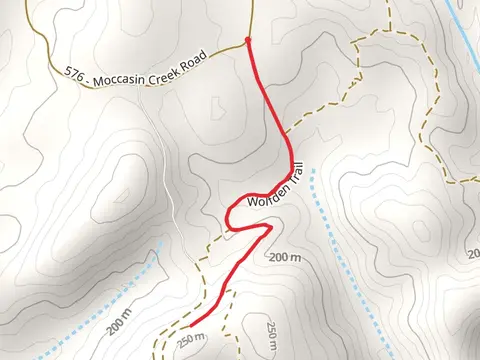 Falls Dan via Wolf Den Trail