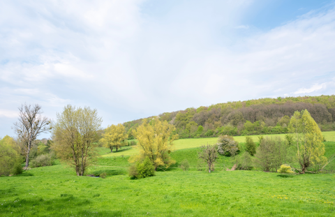 Epen to Moelingen via Henenbergpad and Hoogbos