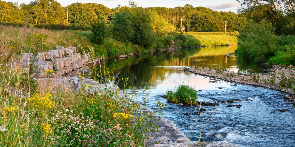 Brandon - Bishop Auckland Walk