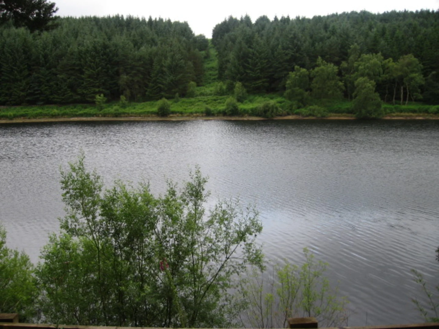 An image depicting the trail Langsett Bank along Langsett Reservoir and its surrounding area.
