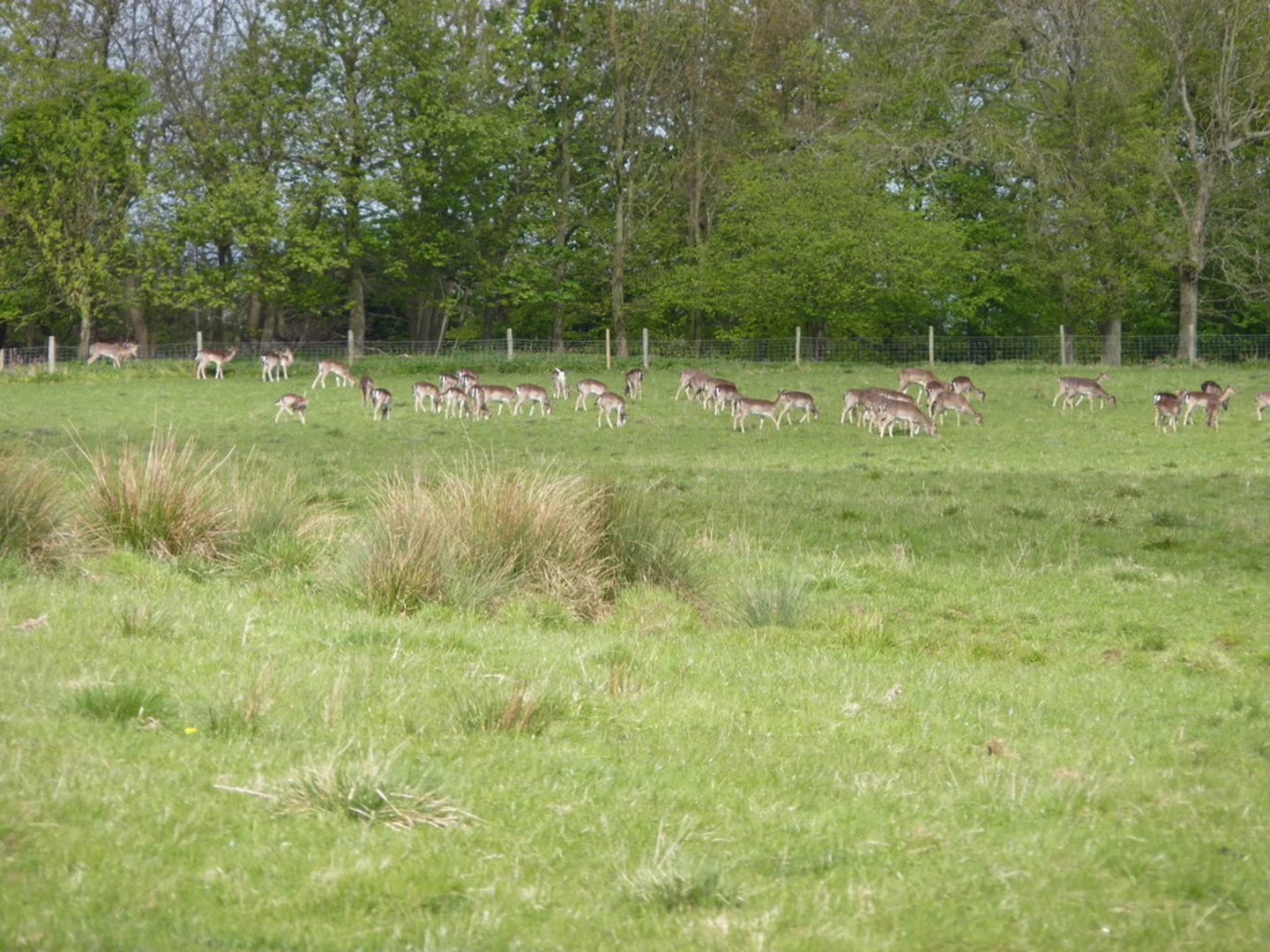 An image depicting the trail Even Hill and Comberton Wood and its surrounding area.