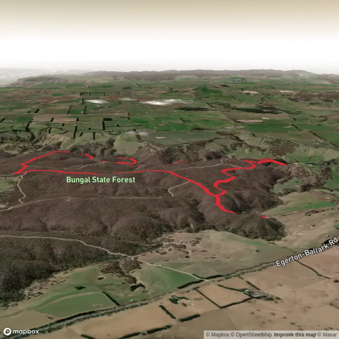 An image depicting the trail The Little Forest Trail and its surrounding area.
