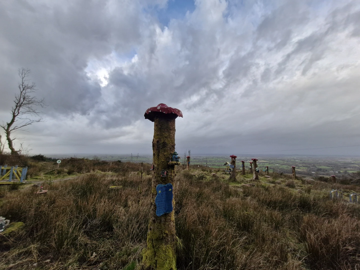 An image depicting the trail 12 O'Clock Hills Blue Route and its surrounding area.