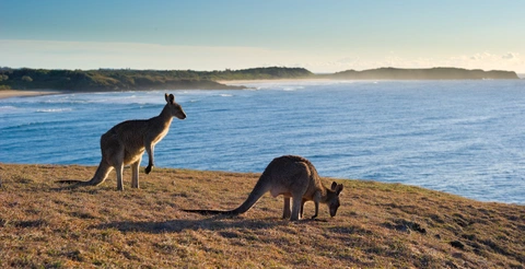Look at me now Headland Walk