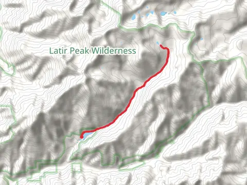 Lake Fork Out and Back