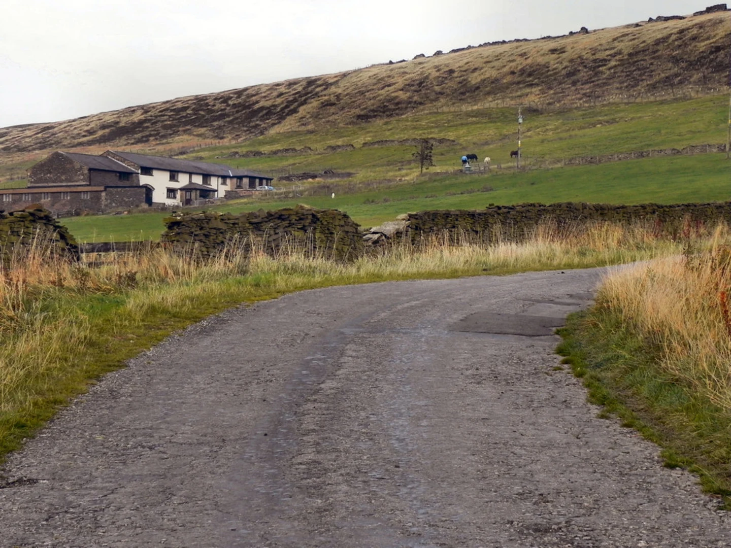 An image depicting the trail Entwistle to Haslingden Walk and its surrounding area.