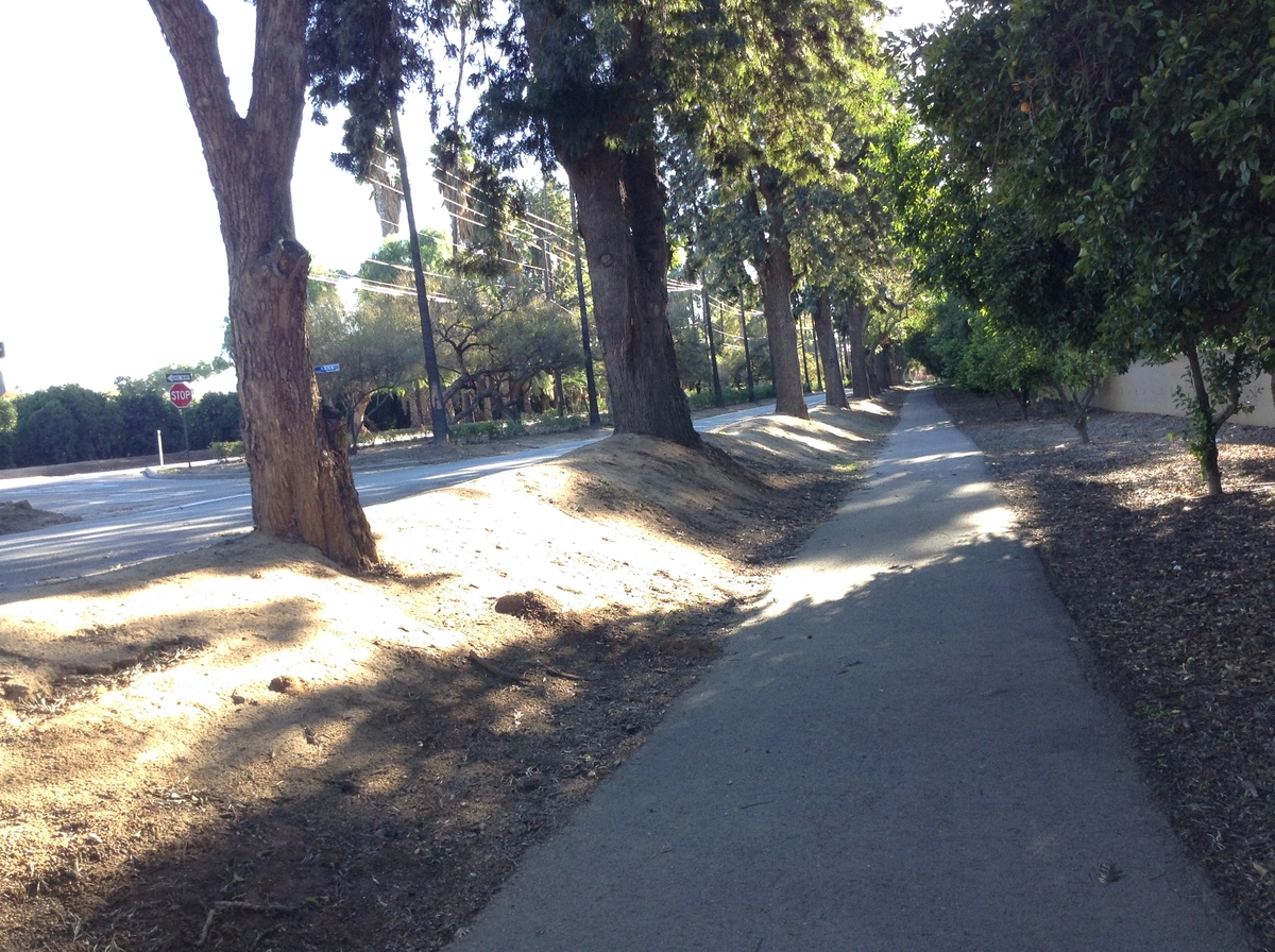 Rosanna Scott Memorial Trail