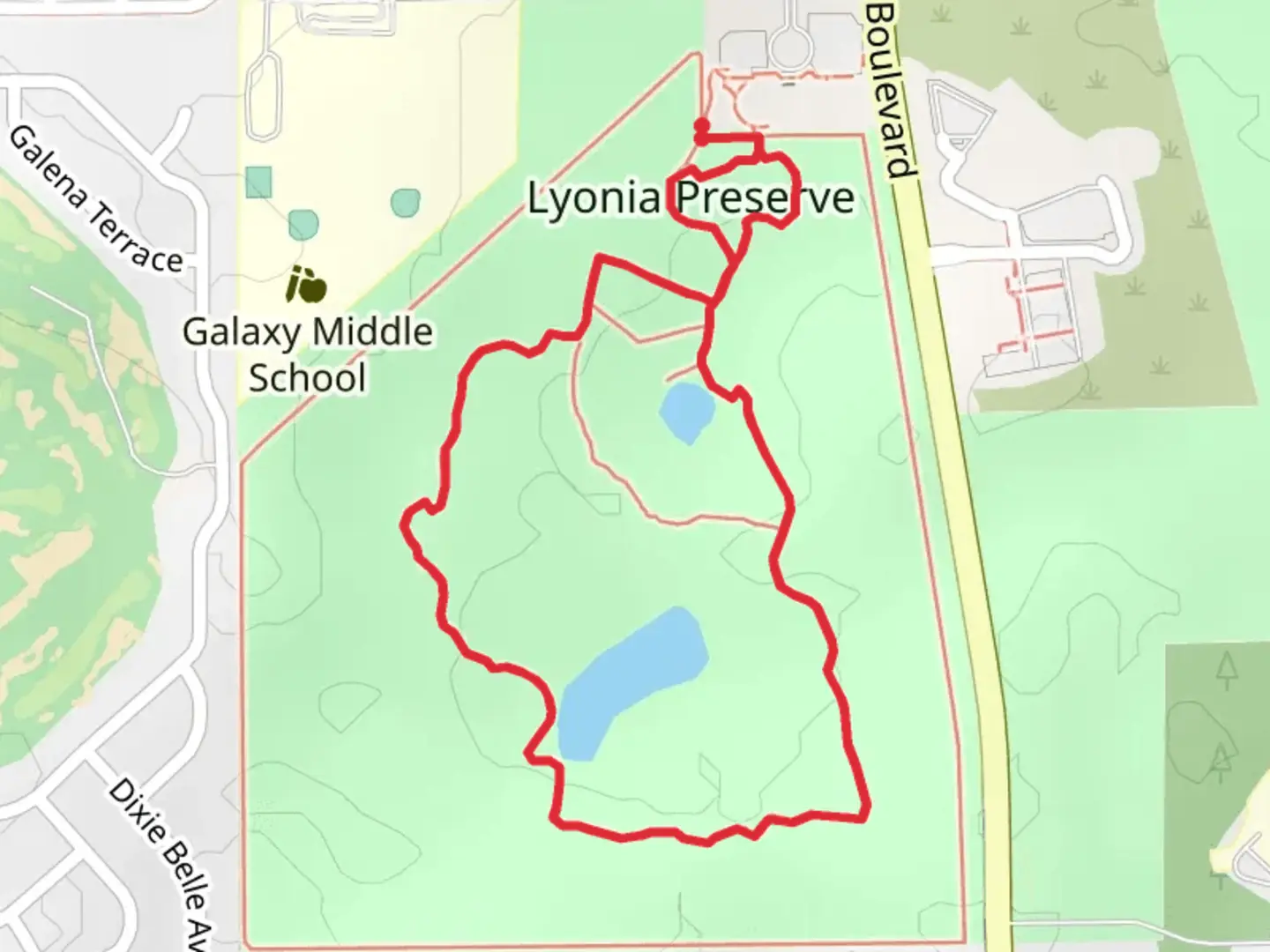 An image depicting the trail Rusty Lyonia Trail, Red Root Trail and Blueberry Trail Loop and its surrounding area.