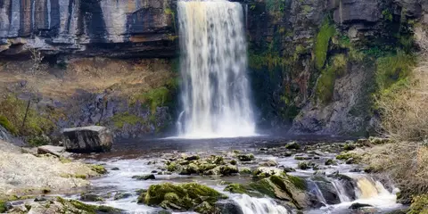 An image depicting the trail Tributaries Walk and its surrounding area.