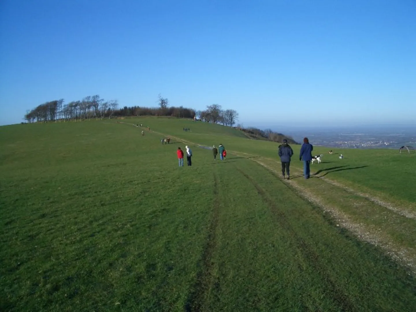 An image depicting the trail Chanctonbury Ring, Barnsfarm Hill and Chantry Hill Loop and its surrounding area.