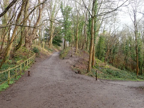 Leigh Woods Walk