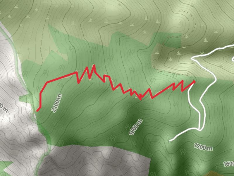 Bear Creek Overlook Trail from Bear Creek Overlook Trail Road