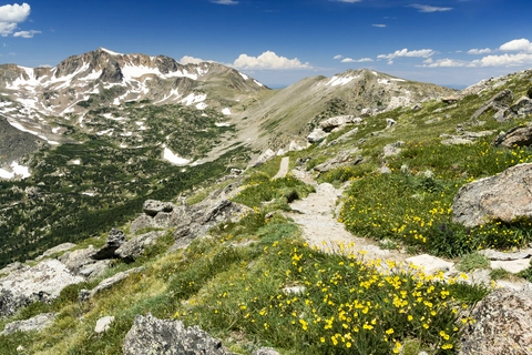 Continental Divide Trail - Colorado