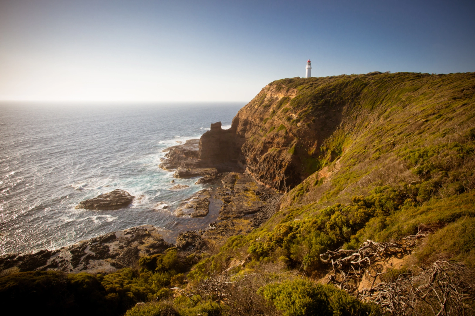 An image depicting the trail Two Bays Walking Track and its surrounding area.