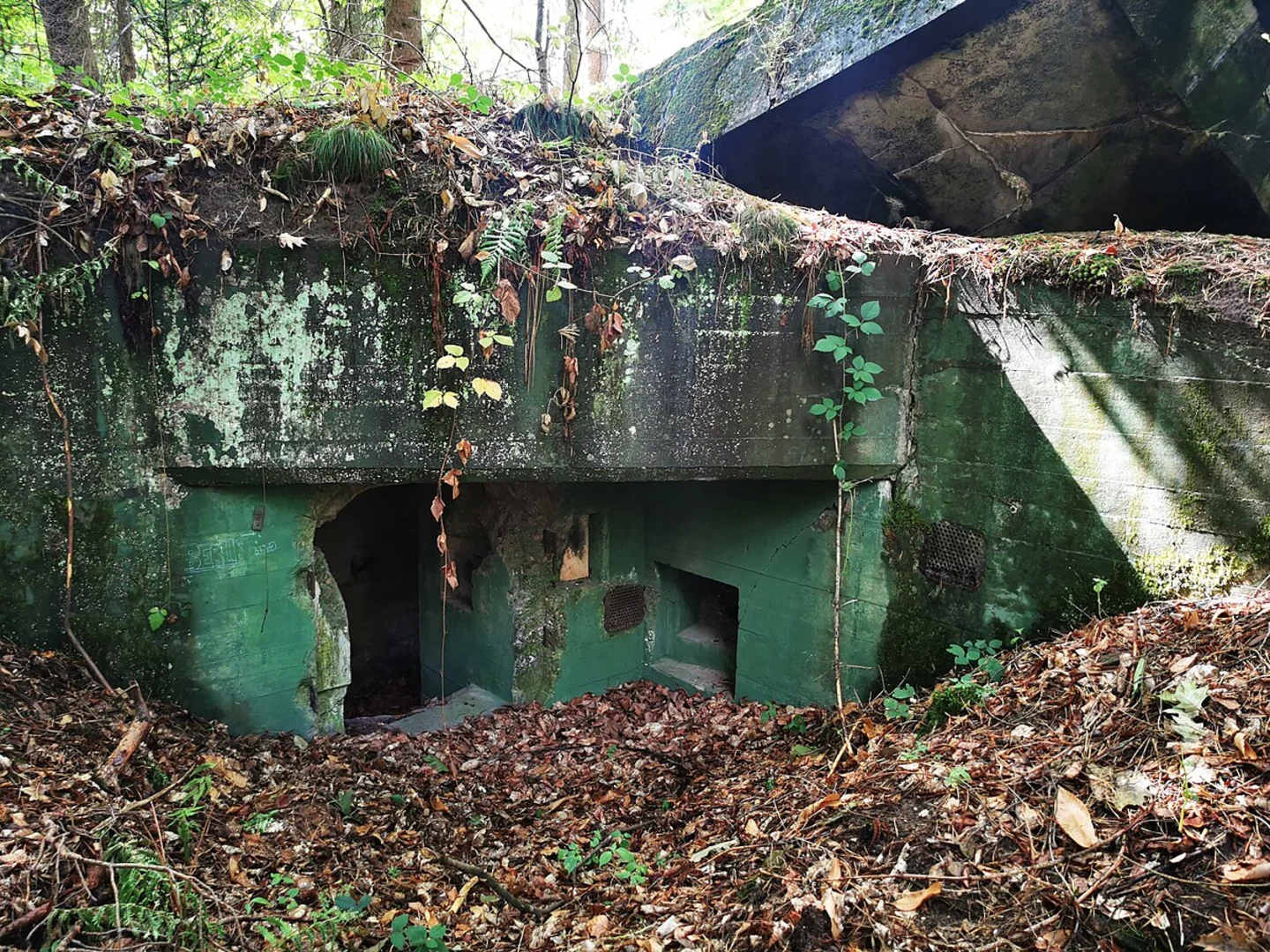 An image depicting the trail Forstwald Rundweg and its surrounding area.