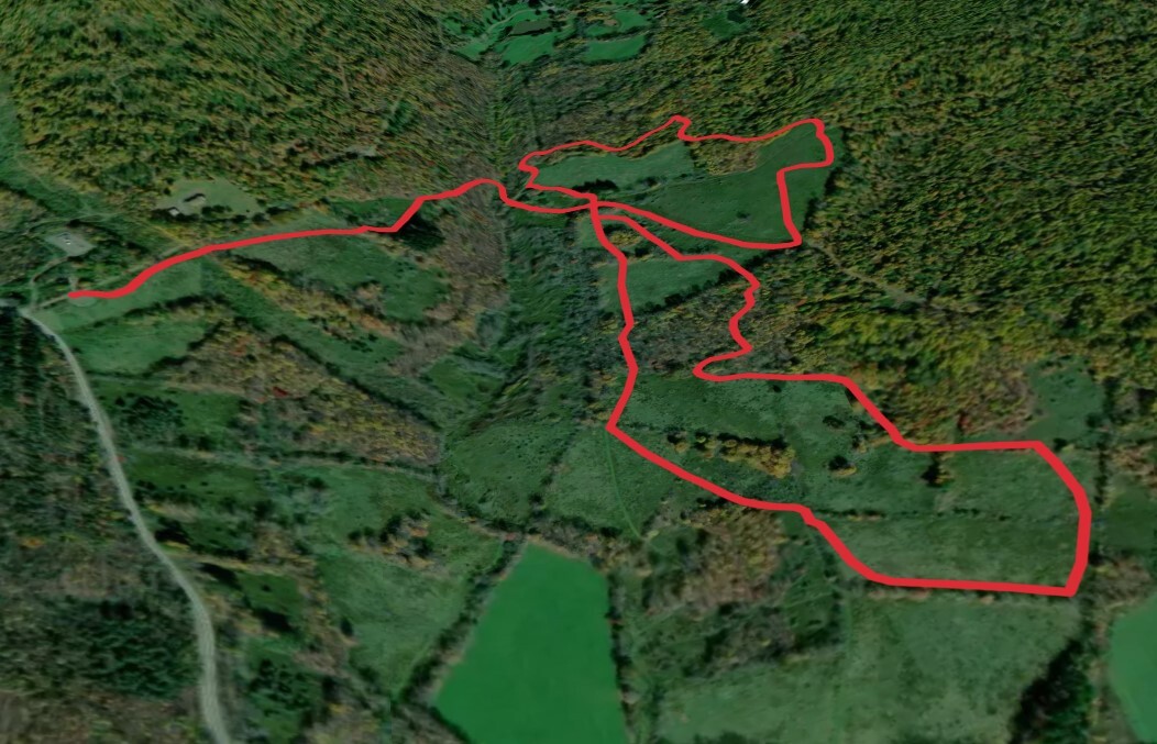 Bryants Brook from Finkle Road