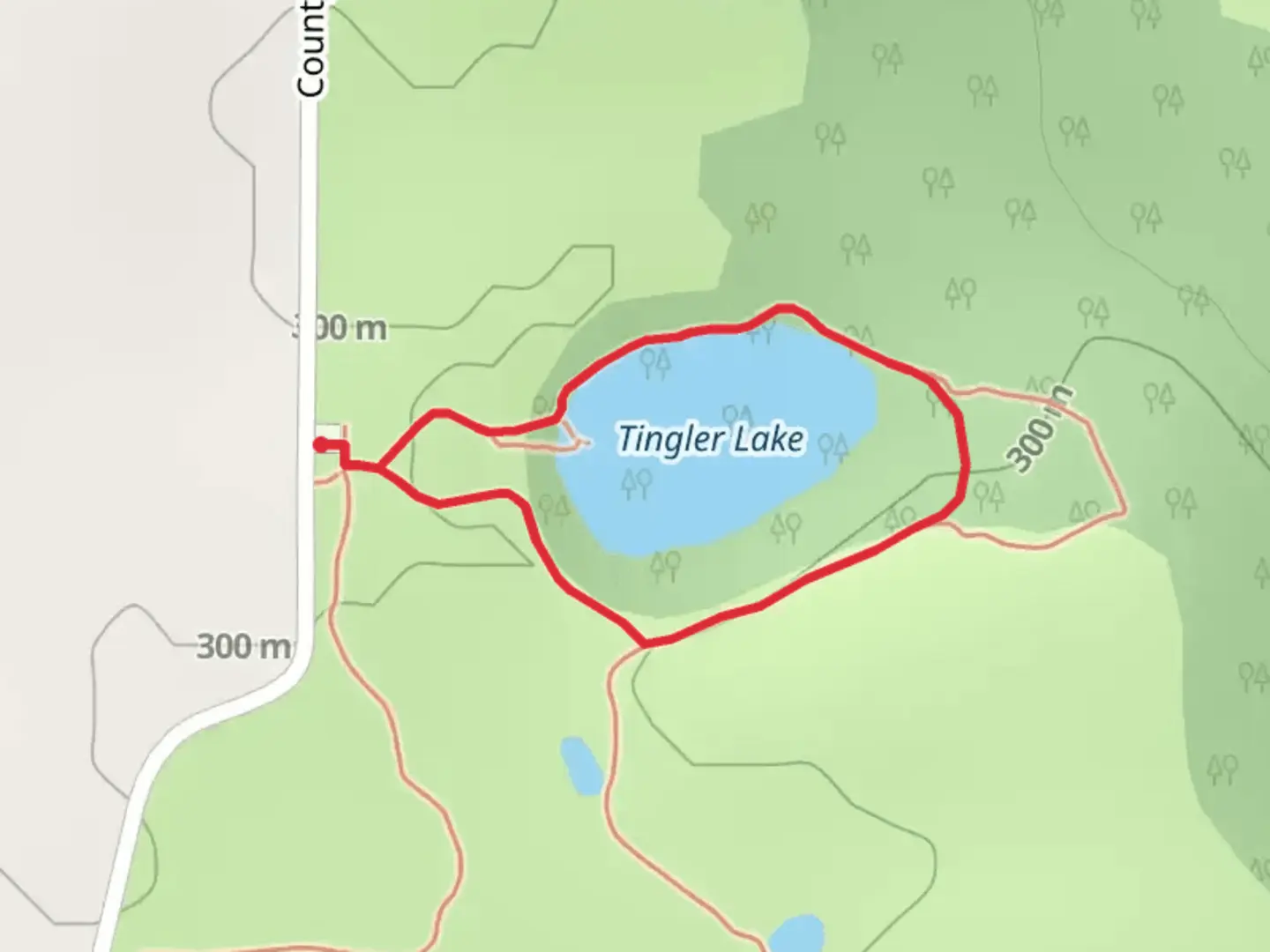 An image depicting the trail Tingler Lake Loop and its surrounding area.