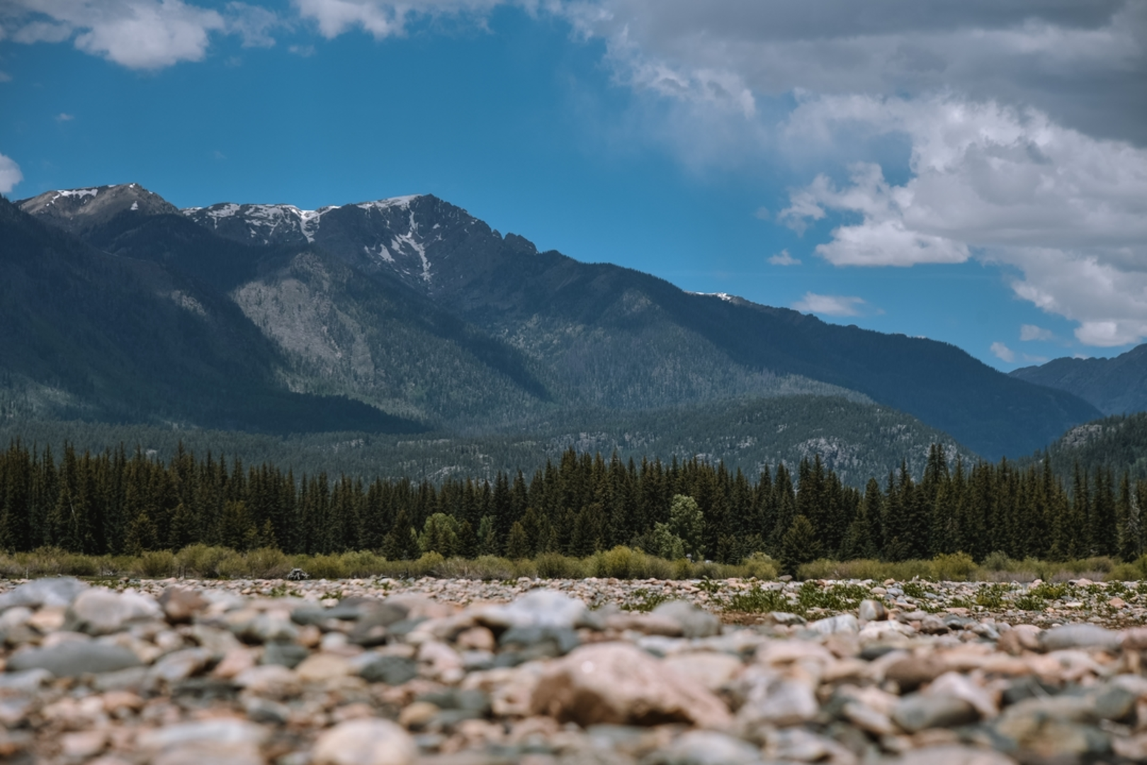 An image depicting the trail Freeman Park Trail and its surrounding area.