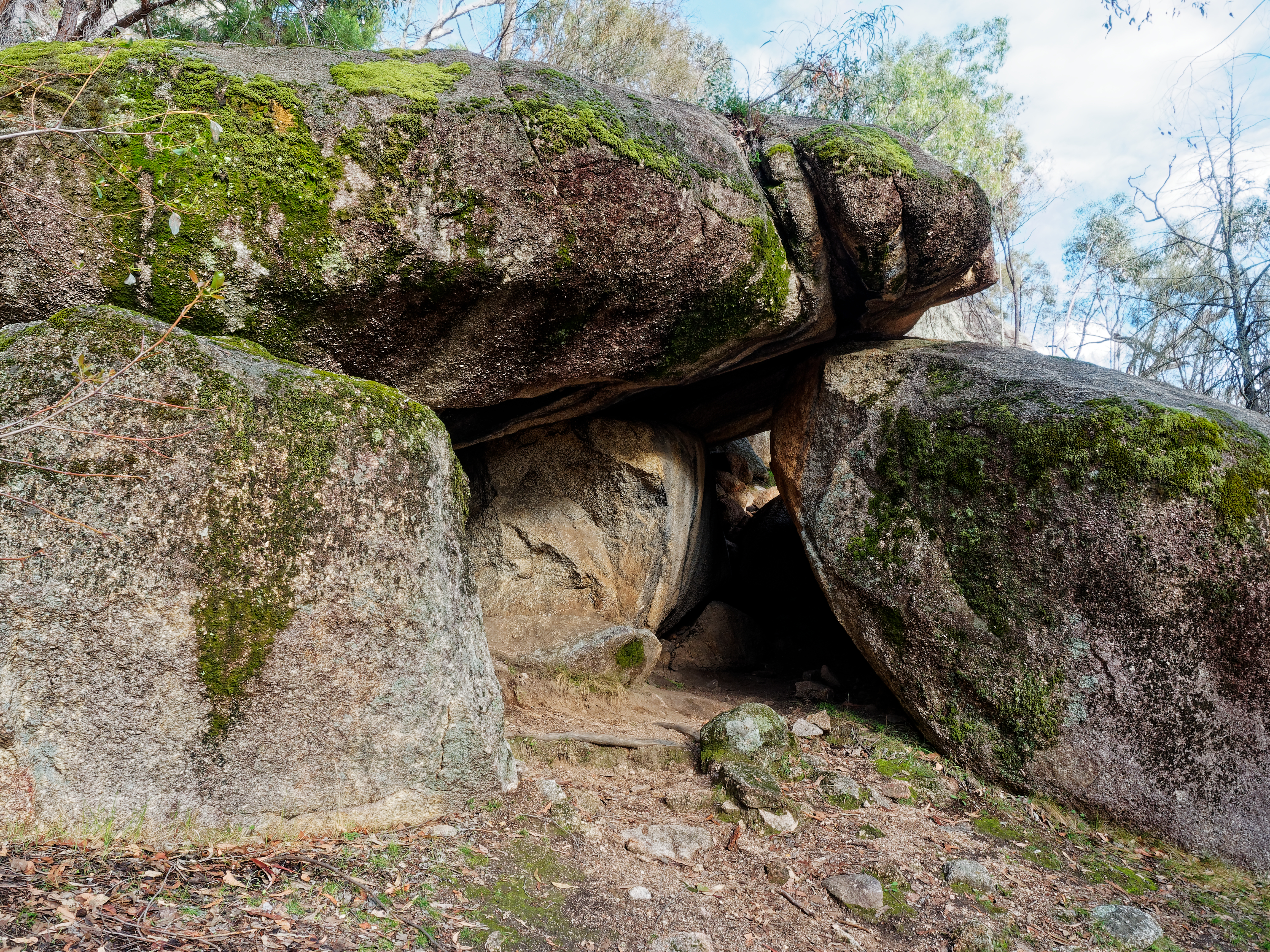 An image depicting the trail Chiltern-Mt Pilot National Park and its surrounding area.