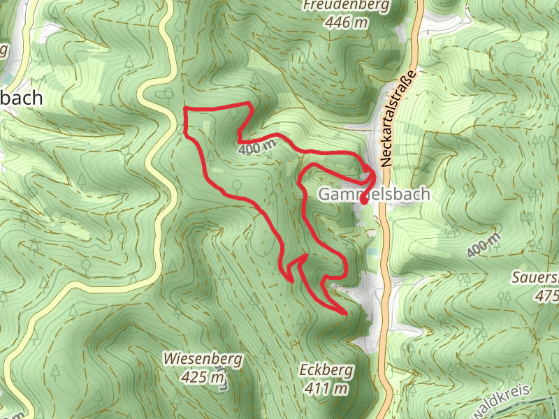 Rundwanderweg Gammelsbach