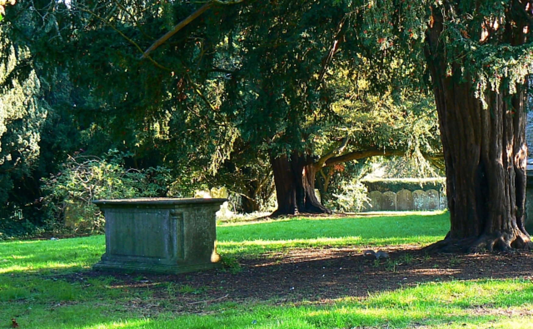 An image depicting the trail Lawns Park from Westmead and its surrounding area.