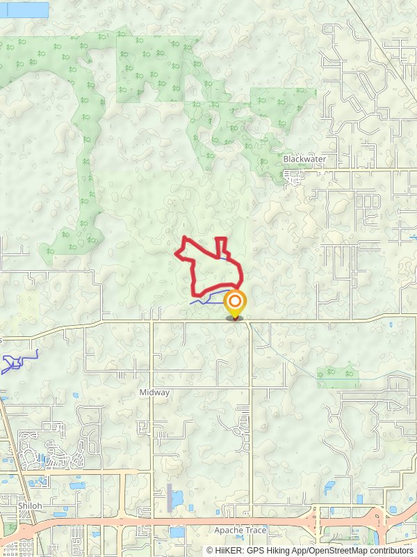 Central Loops mobile static map