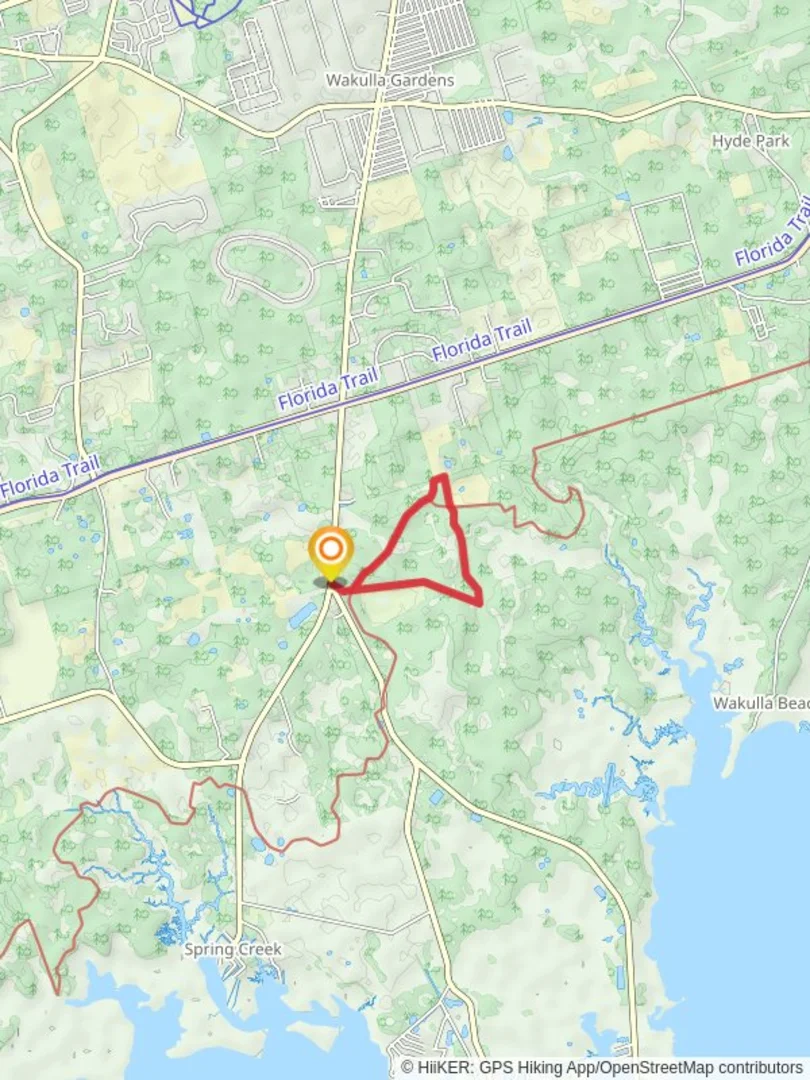 An image depicting the trail Florida Trail Loop from Smith Cemetery and its surrounding area.